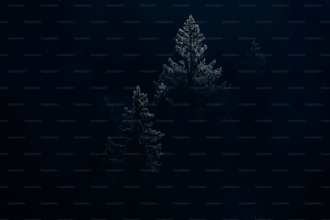 确认了！周华健4月在长沙开唱